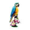 31136 Perico Exótico 3en1 (253 piezas)