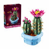 cactus en flor 11509 botanicals